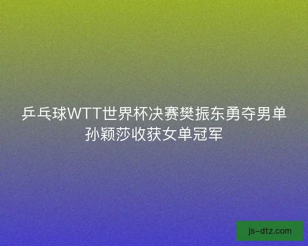 乒乓球WTT世界杯决赛樊振东勇夺男单孙颖莎收获女单冠军