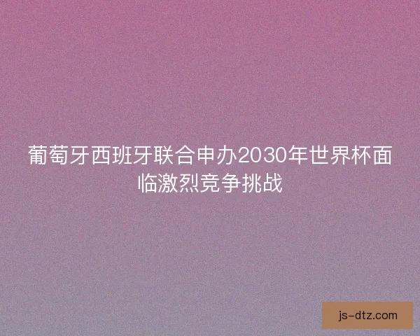 葡萄牙西班牙联合申办2030年世界杯面临激烈竞争挑战 葡萄牙西班牙联合申办2030年世界杯面临激烈竞争挑战